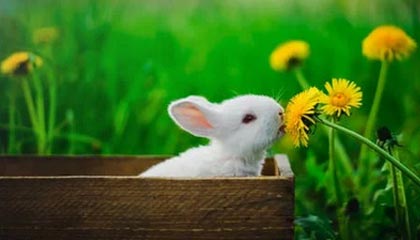 kaiyun.com-勇士队遭遇三连败，卫冕之路不平坦，勇士队全场