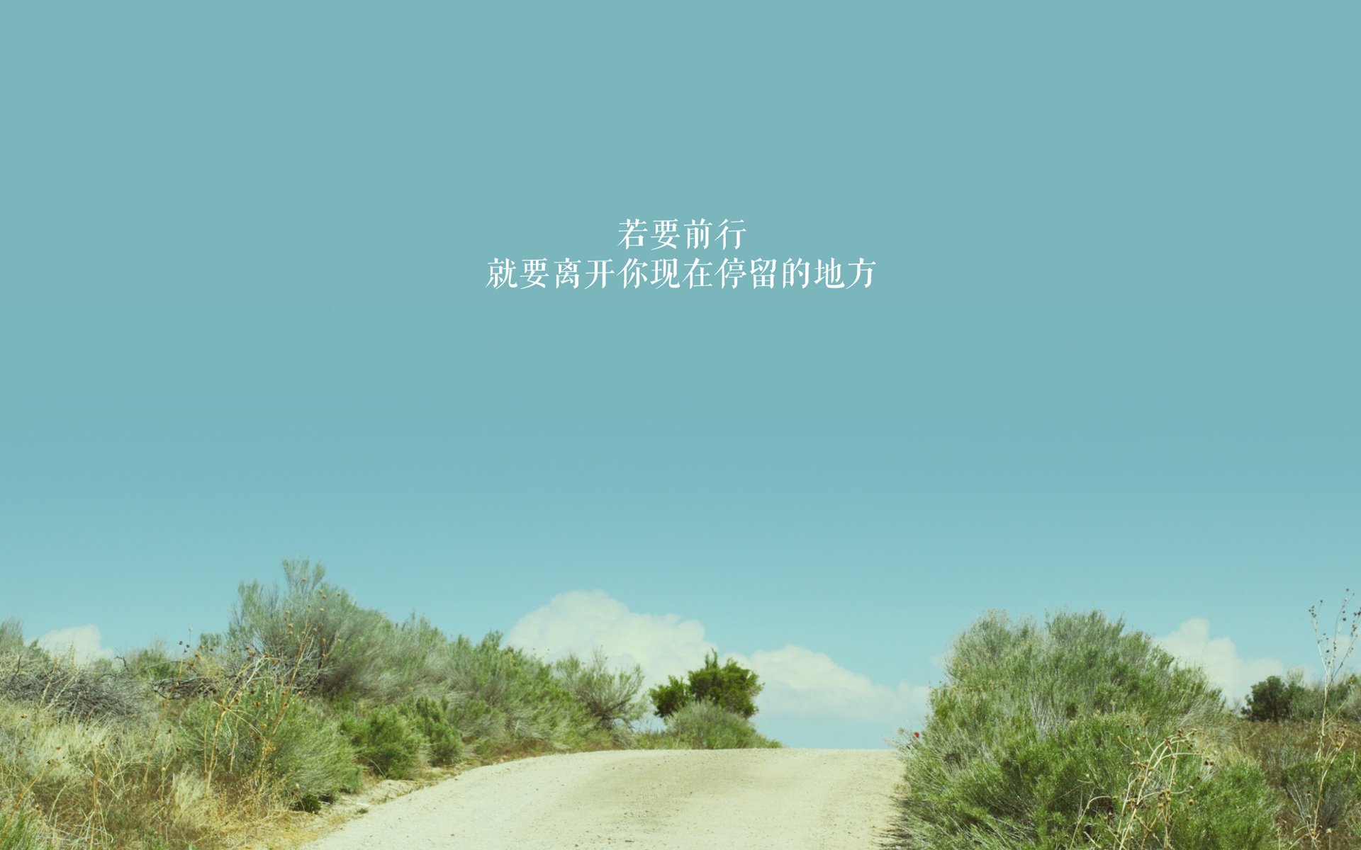 APEX英雄 选手表现引发热议,apex选手aceu