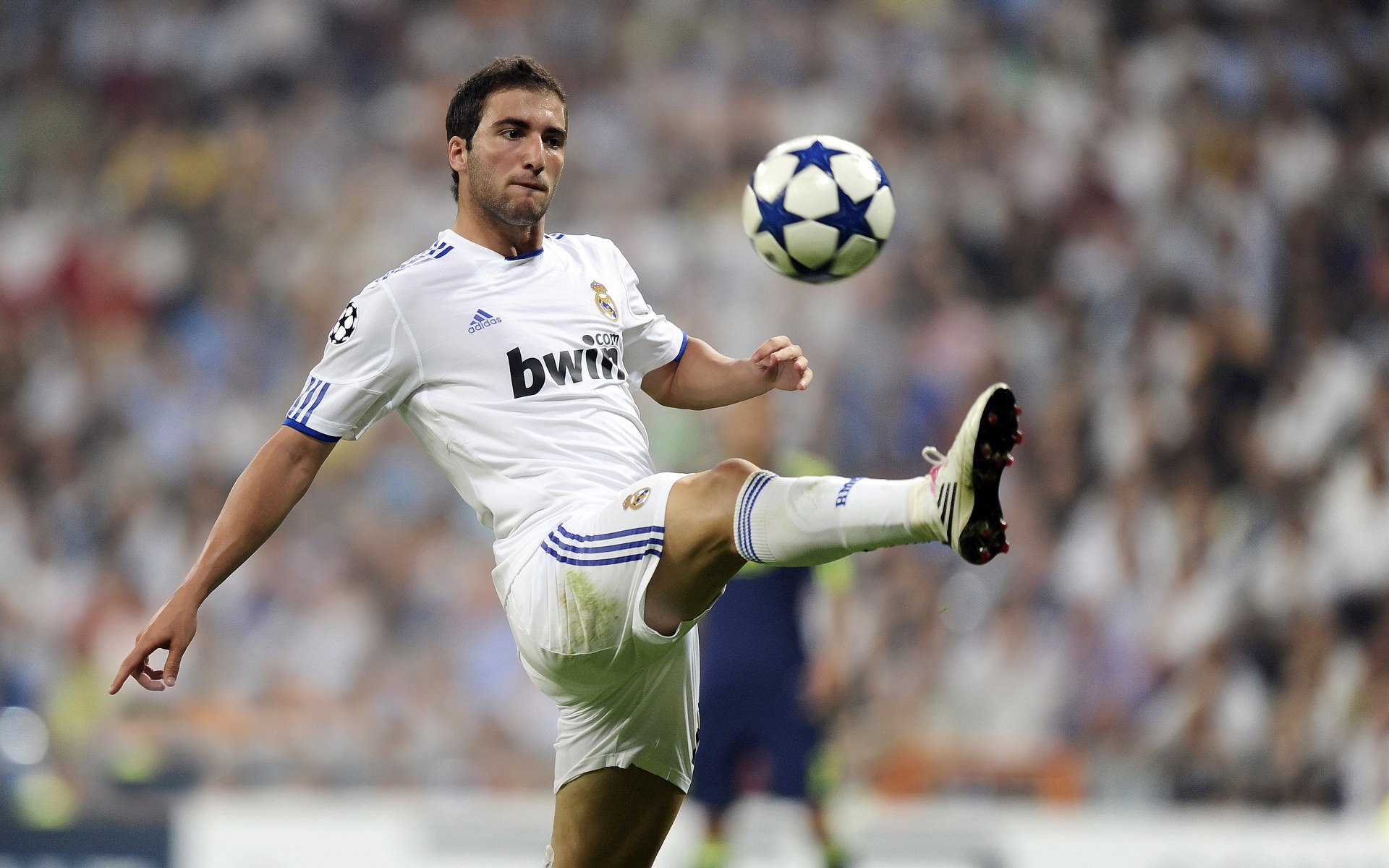 球队文化：如何打造一支具有竞争力的队伍？，球队文化建设