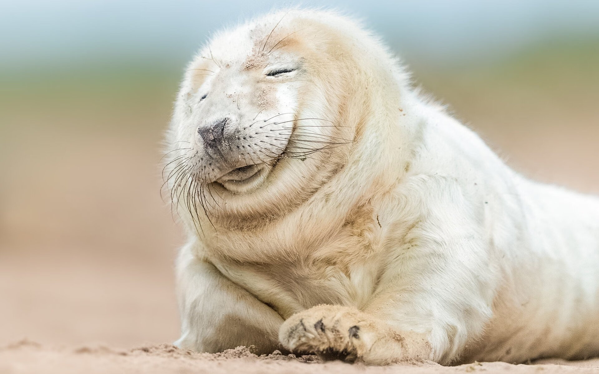 美国女足在巴黎奥运会上展现出强大的进攻火力，奥运美国女足首发