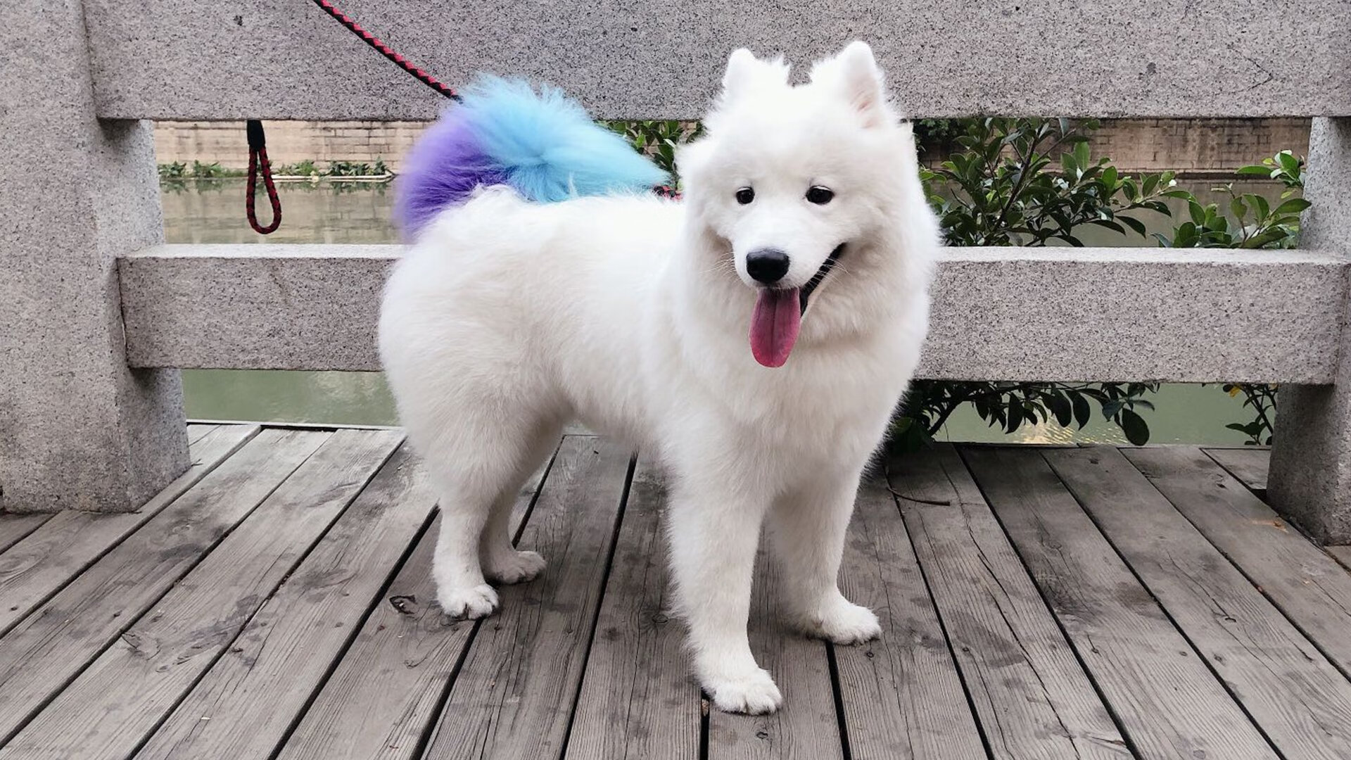 LCK启用“选手行为评估模型”,为转会提供参考