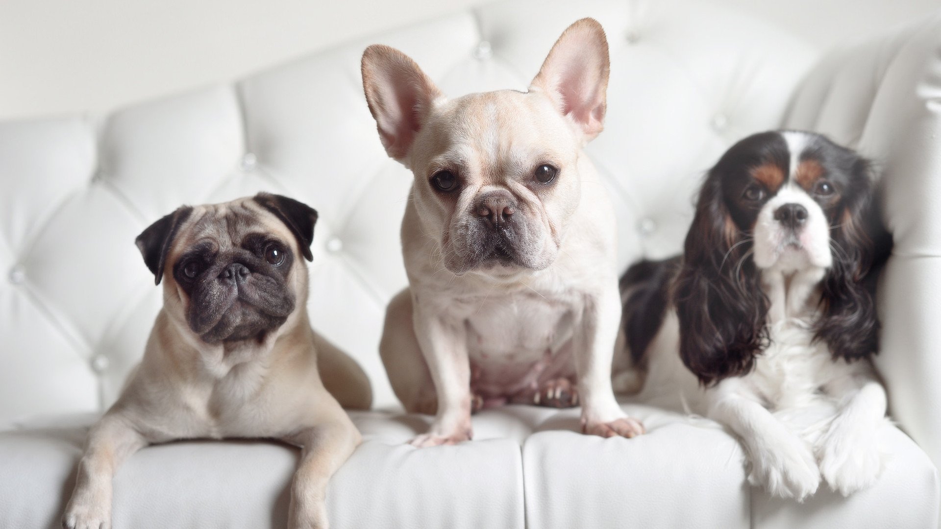 kaiyun体育app-克罗地亚队遭遇瑞士的挑战，取得一场宝贵胜利，克罗地亚vs瑞士预测