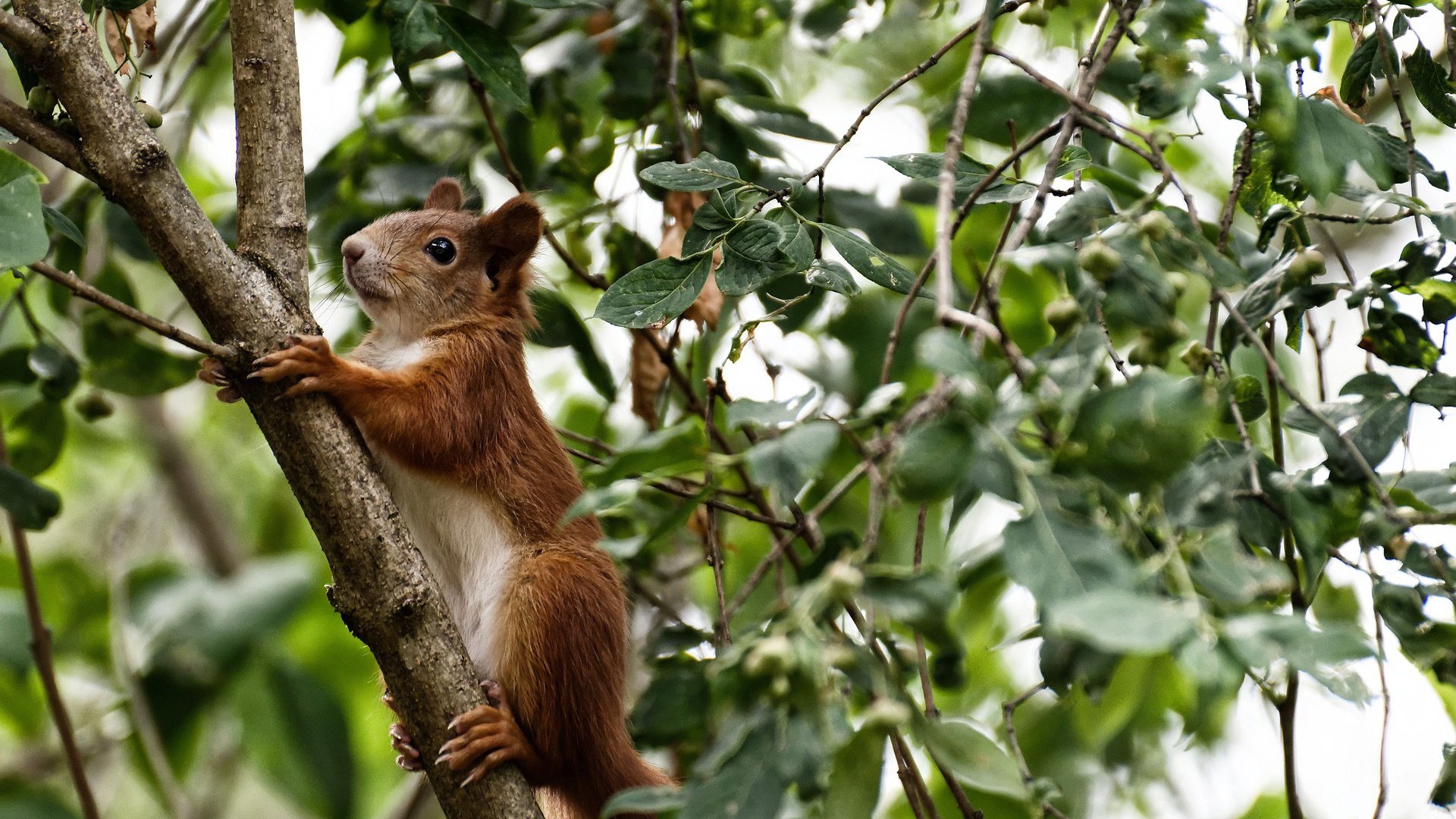 开云网页版登录入口-国足在亚洲预选赛中的表现，国足亚洲预选赛程