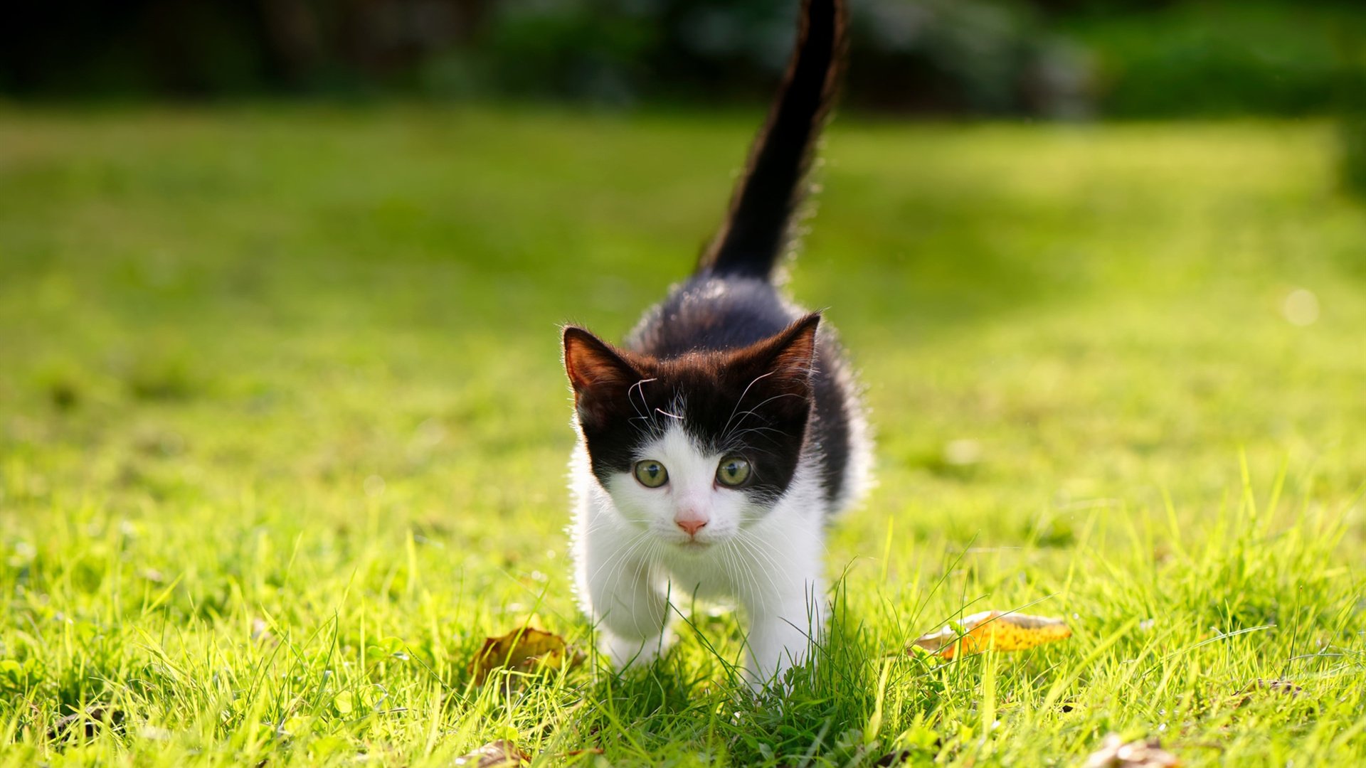 kaiyun体育app-尼克斯三分命中率低惨败掘金，尼克斯三分命中率低惨败掘金球员