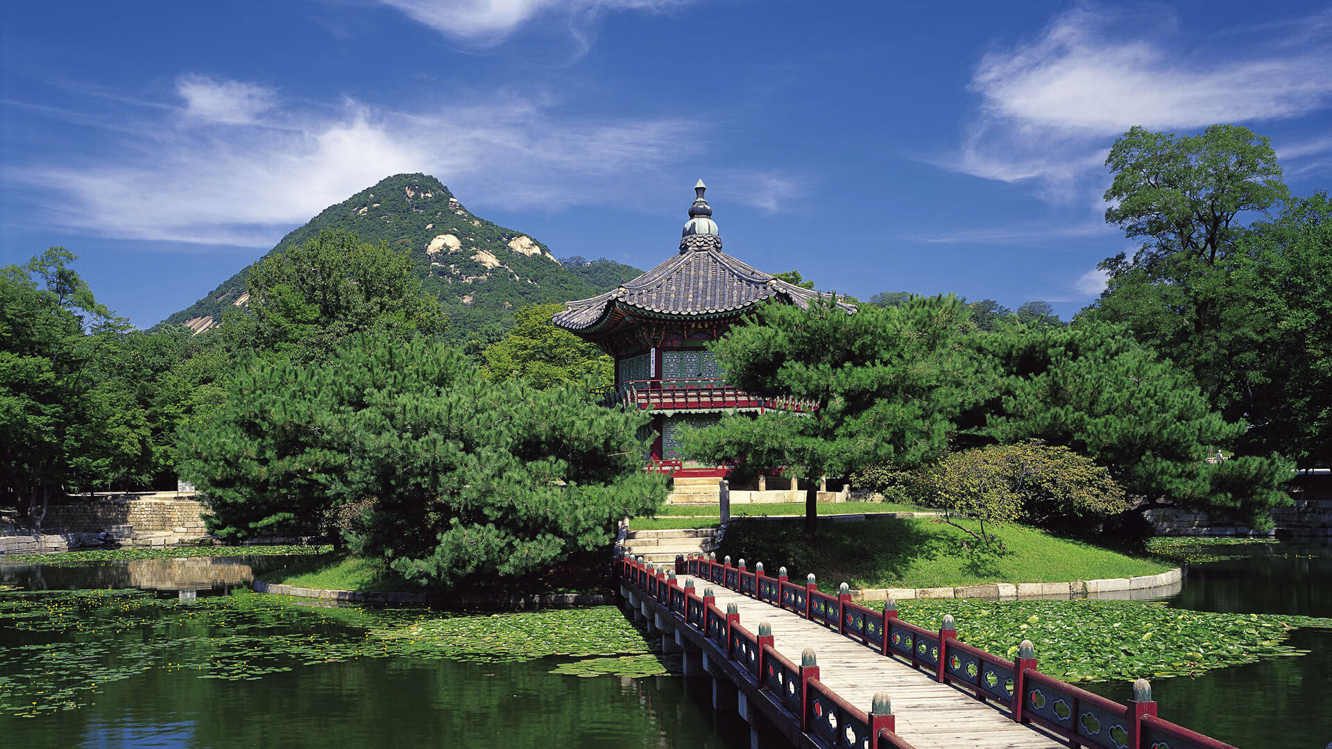 深圳马可波罗 教练战术布局引热议,深圳马可波罗教练是谁