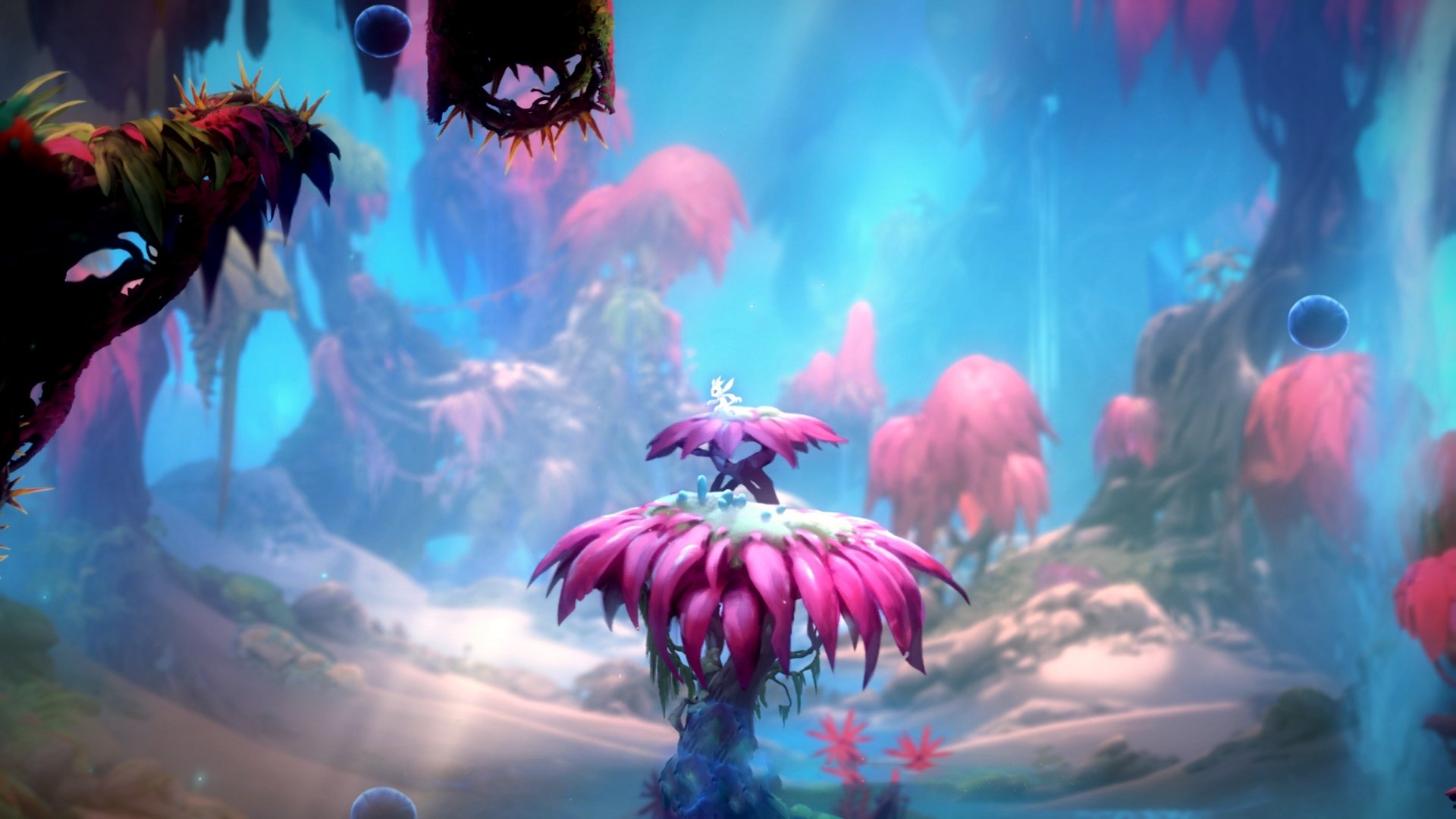 韩国星际争霸赛事市场份额扩大,2020韩国星际争霸1比赛视频大全