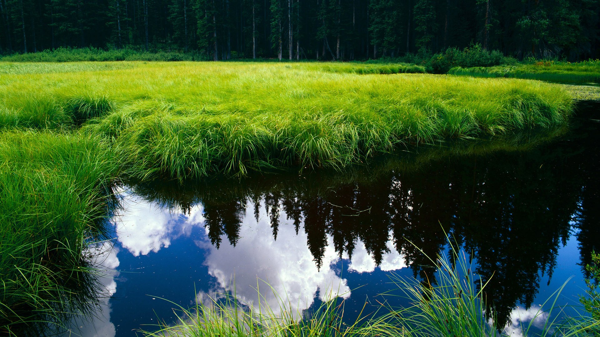 中国足球技术动作失误分类数据，足球失误动图