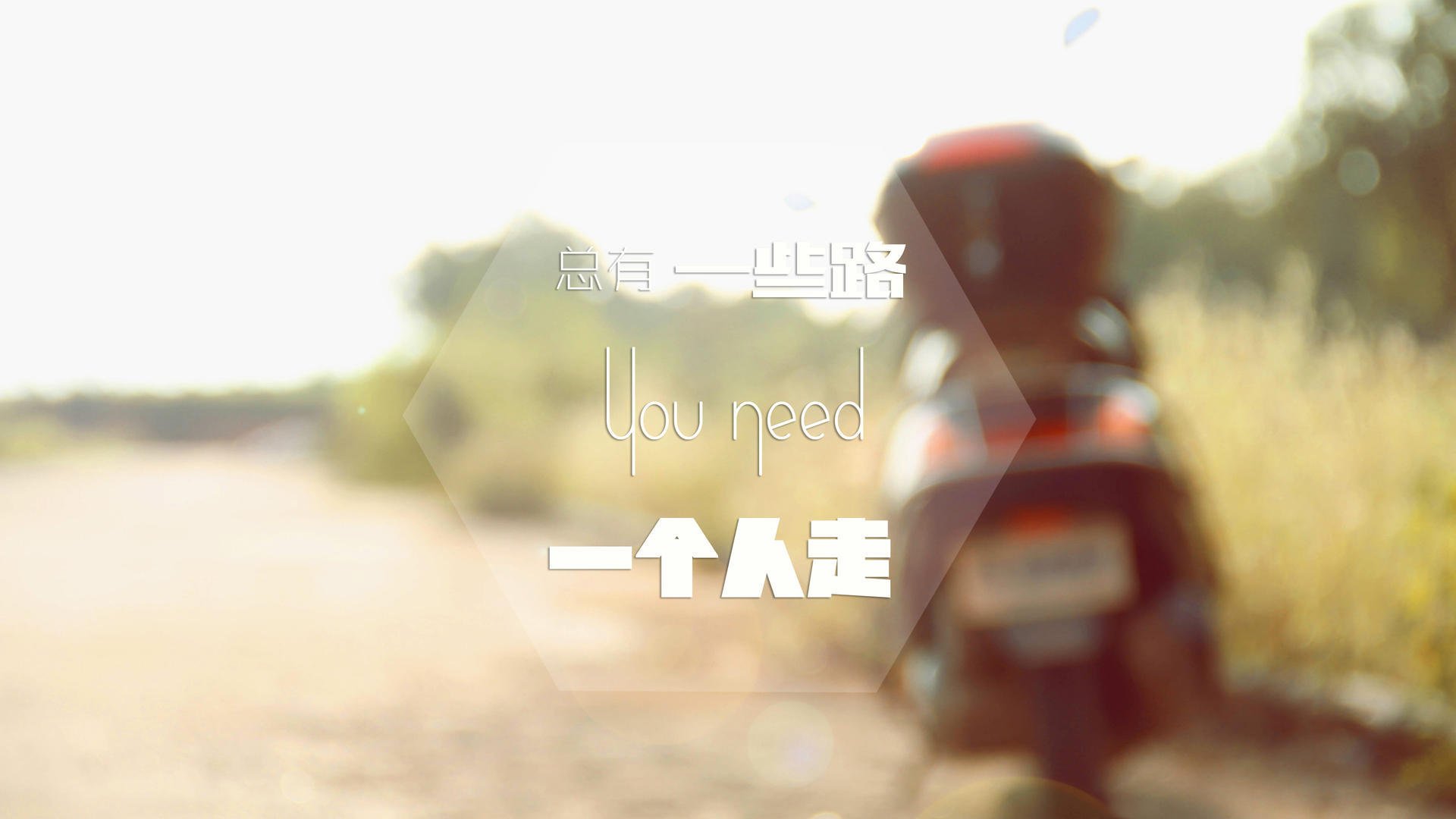 未来型足球场:环保、智能与观众体验的结合,足球 未来