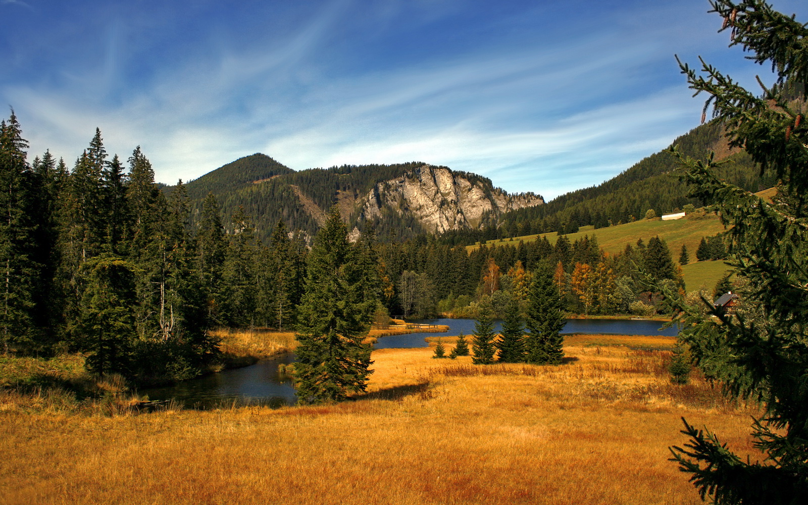 国际热身赛中国女足平局 球迷呼吁加强训练,国足热身赛2021