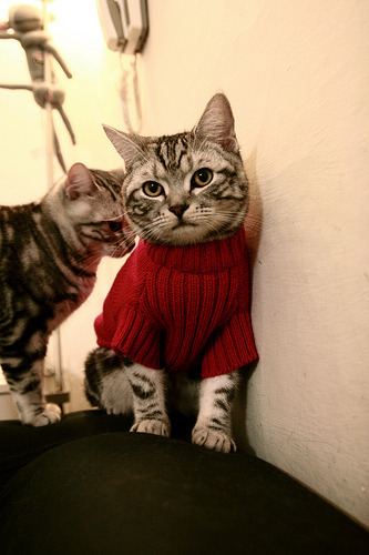 青年球员文化课与训练同步培养文武双全人才