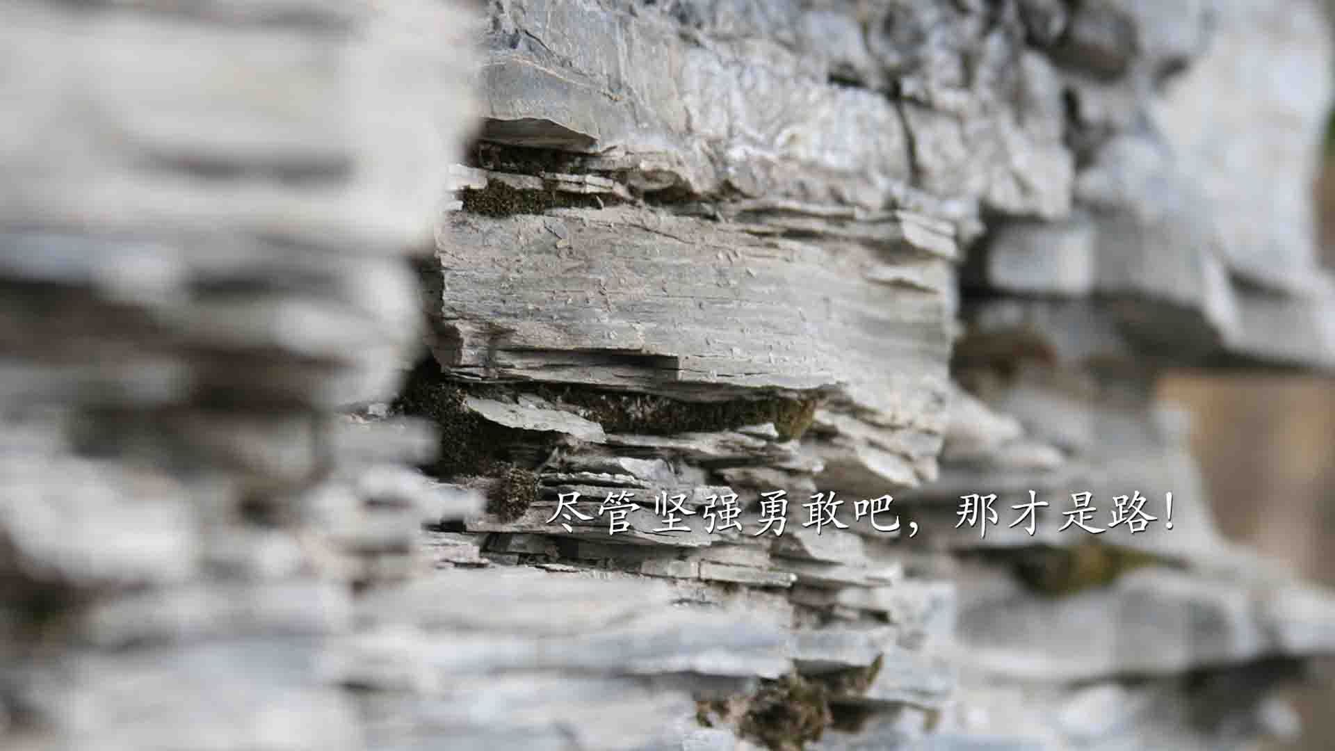 国际赛事义卖活动筹资助学,社会影响力扩大,义卖捐赠活动的意义