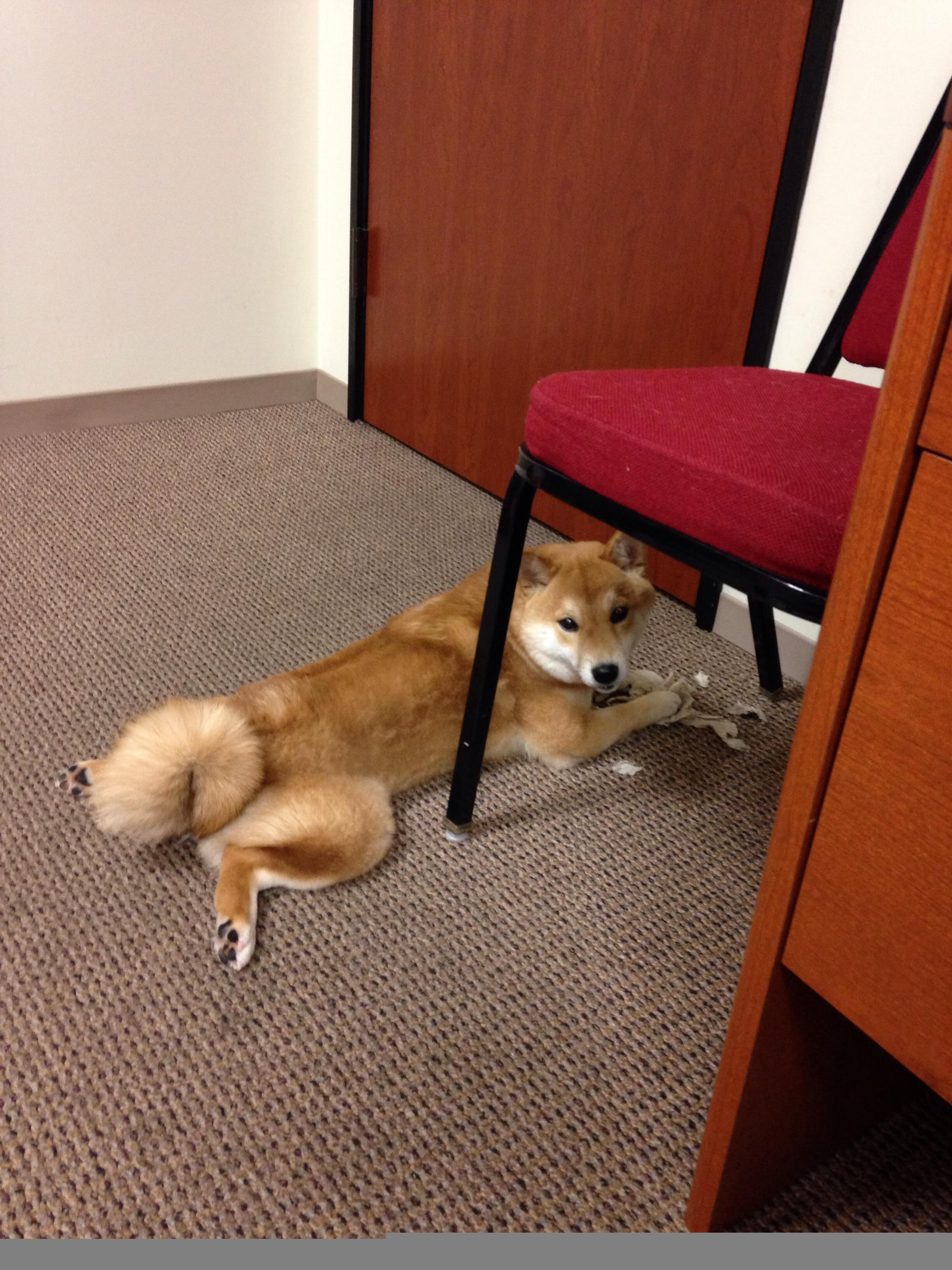 英超冲刺激烈:冠军悬念逐步拉开!,英超逆袭夺冠